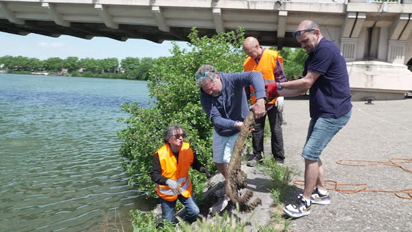 Nettoyage de la Saône