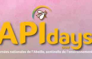 APIdays