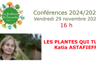 Capture d’écran 2024-11-21 à 17.19.48