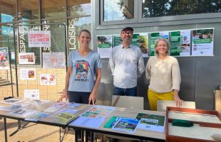 _c_3785d3_h_agaUd018svc8dgpe9dpcwxs_w6dupj