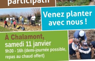 com.nhncorp.m2app 20.0.4