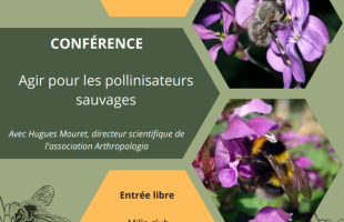 _c_381gdf_4_138Ud018svclbbz6qaq65v7_e7i6j5