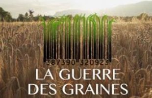 guerre des graines