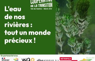 visuel soiree eau-simple